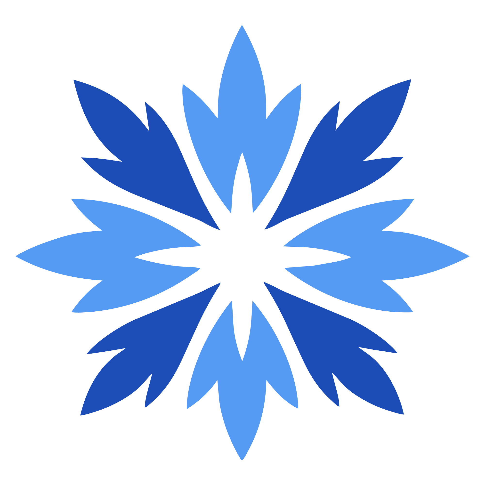Cornflower